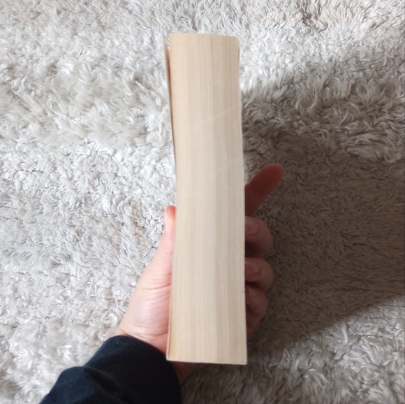 Little Women by Louisa May Alcott - Picture 4 of 7